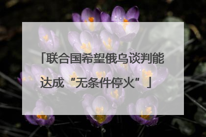 联合国希望俄乌谈判能达成“无条件停火”
